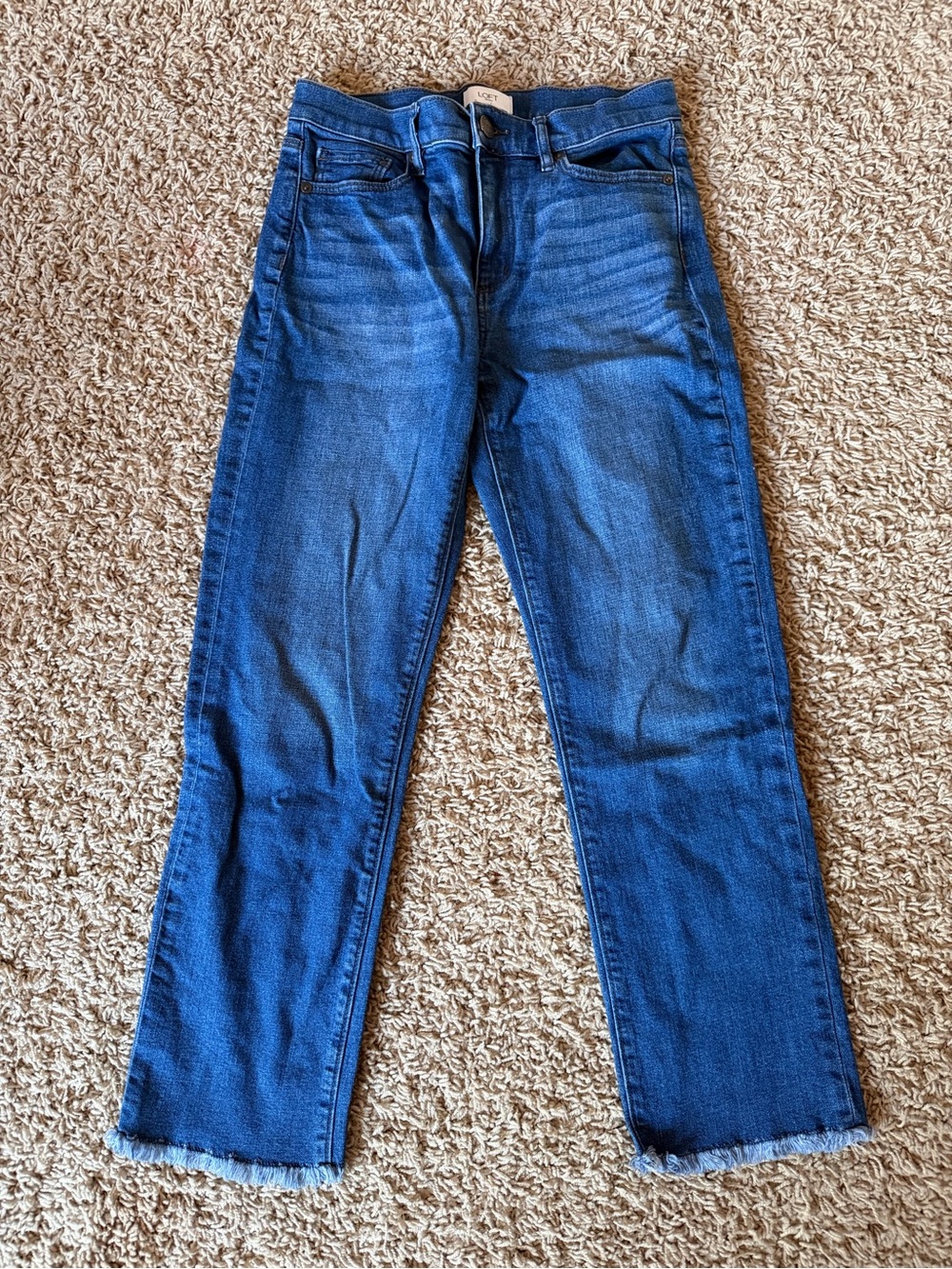 LOFT Womens Straight Crop Jeans Size 0 Blue